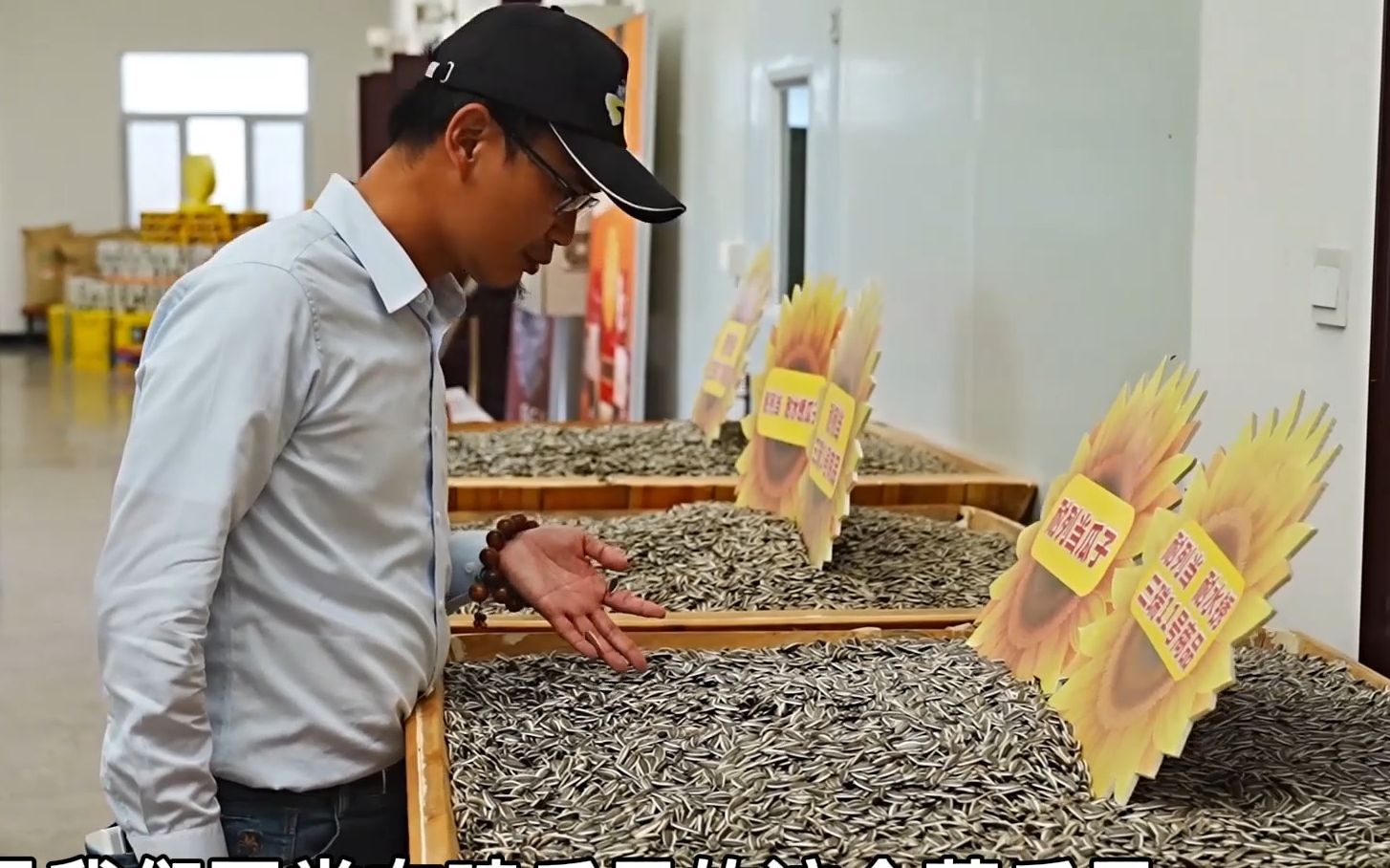 台青黄河游记：小小葵瓜子的逆袭！领略内蒙古边陲小镇的农业科技