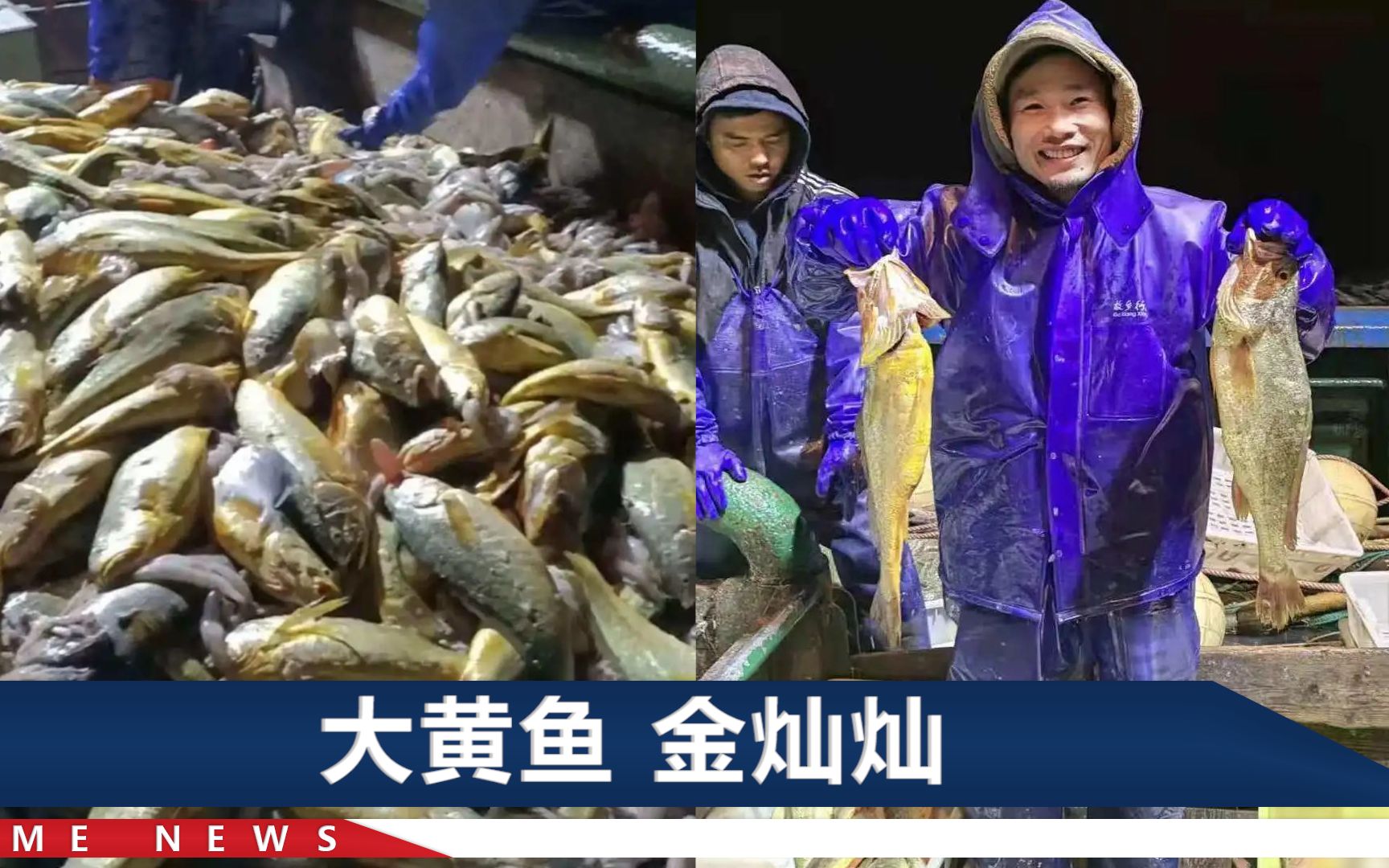 一网鱼卖出957万元，有船员女儿感叹：要是没这网鱼，年都过不成了
