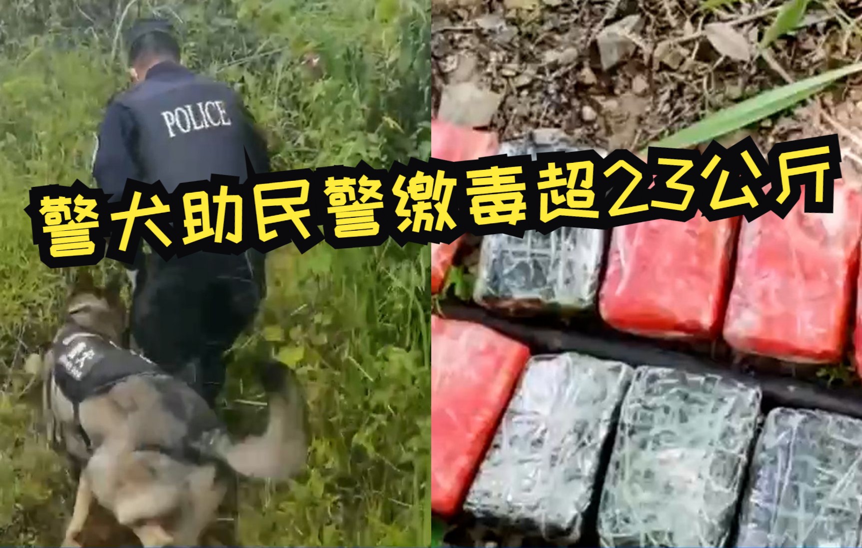 赞！警犬助民警缴毒超23公斤