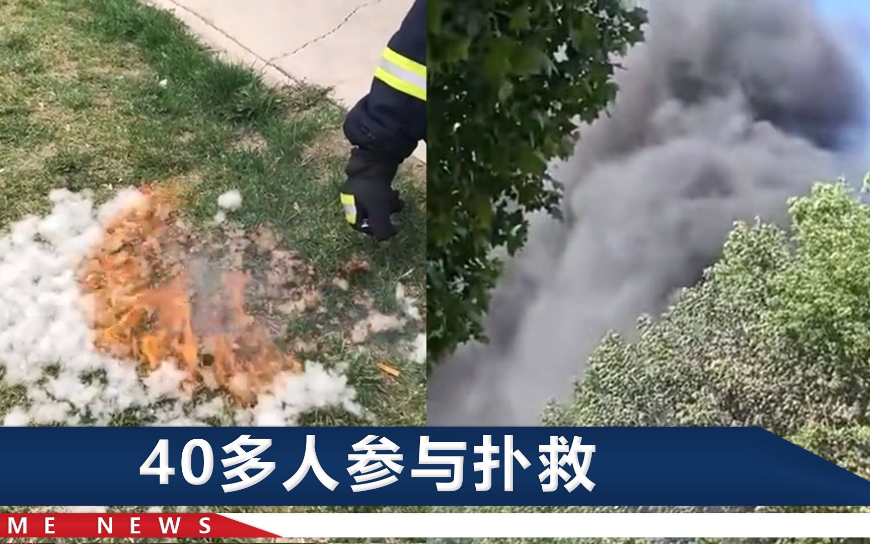 郑州一男子无聊点杨絮解闷，二手车市场跟着遭殃：30多辆车全毁了