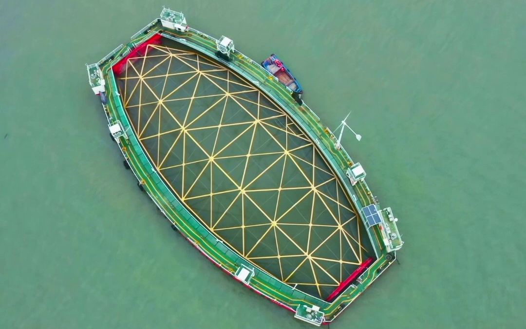 蓝海中国 | 论做一个西装革履的养鱼精英是什么体验？