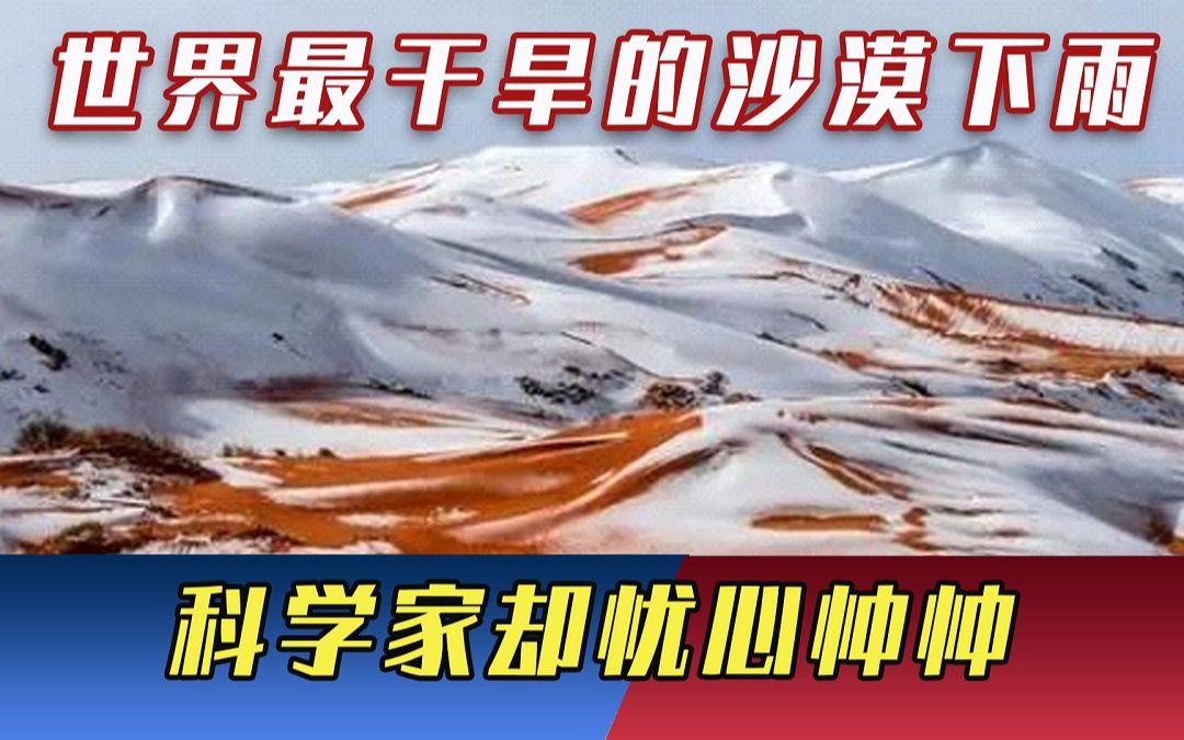 世界最干旱的沙漠，下了15厘米厚的雪，科学家却忧心忡忡