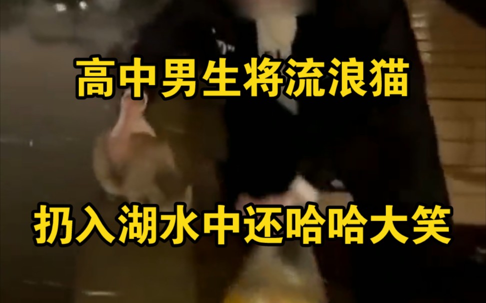 高中男生将流浪猫扔进冬天的湖里，拍视频时还哈哈大笑