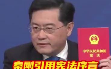 秦刚记者会上念宪法回应台湾问题