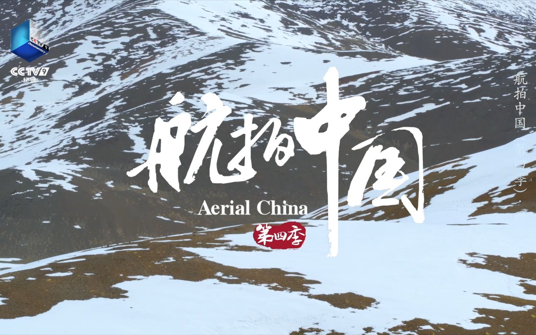 罕见航拍！全世界不足300头的金丝野牦牛