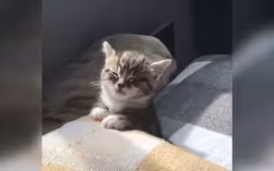 像不像周末加班的你？