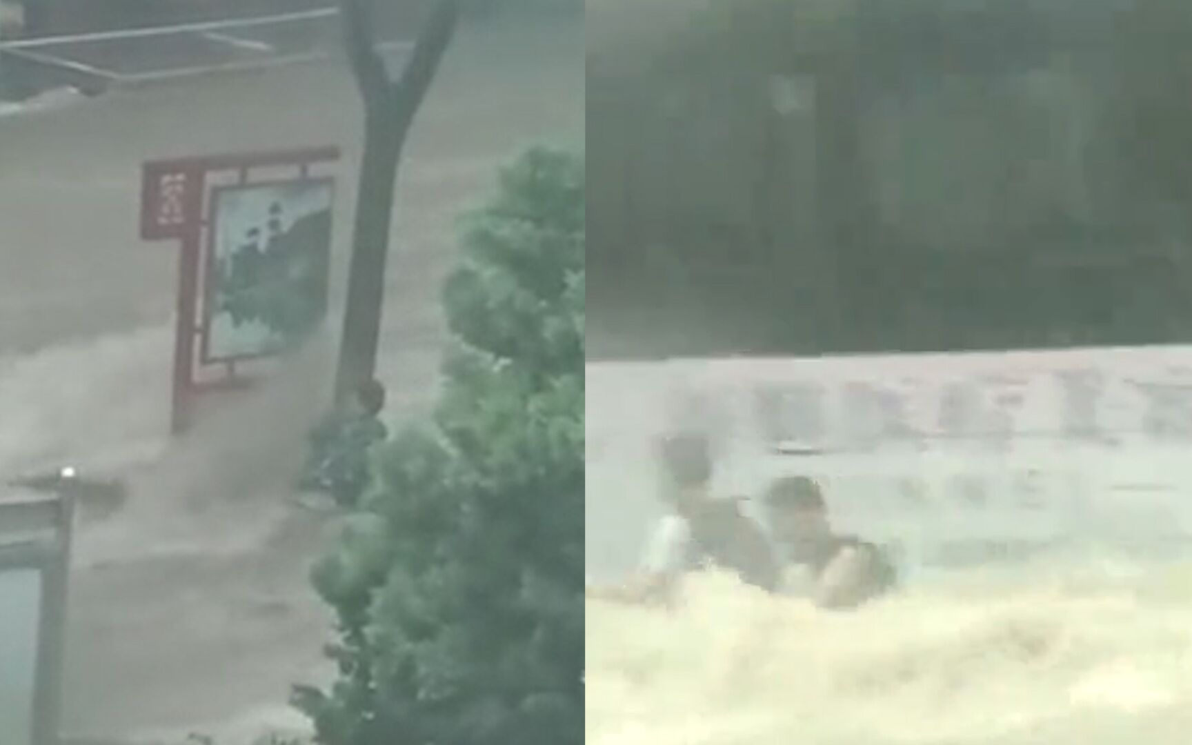 实拍河北武安暴雨：街头瞬间成河，市民抱树自救，轿车被激流冲走