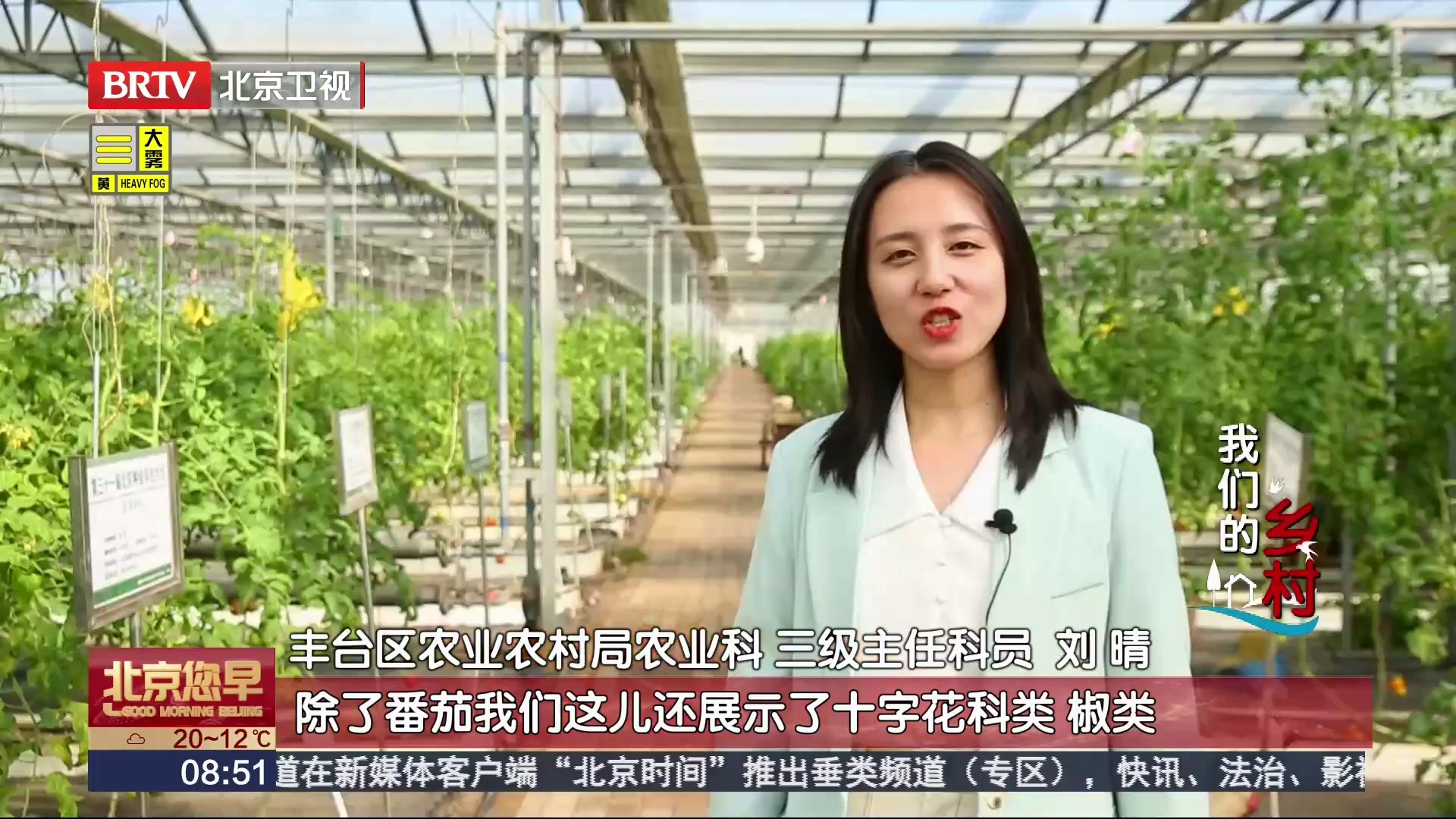 快来吃菜！800多个新品种亮相北京种业大会，绘就乡村好“丰”景