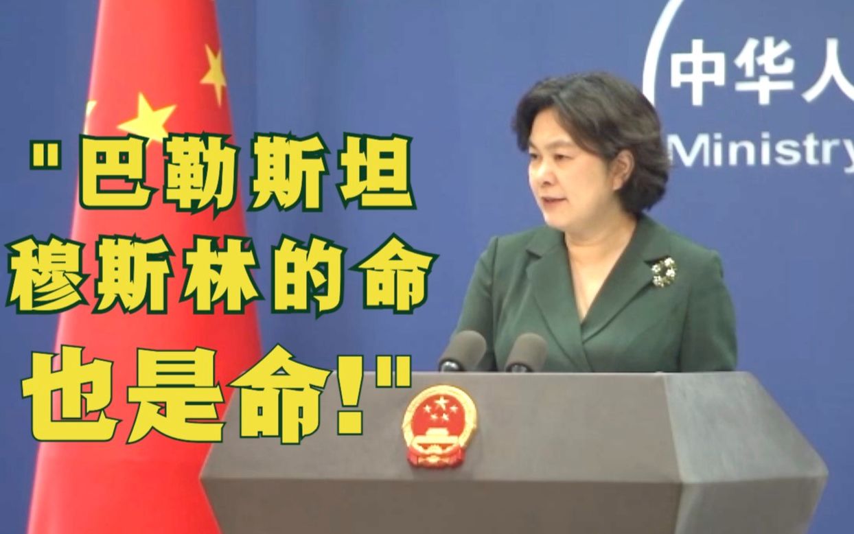 外交部：巴勒斯坦穆斯林的命也是命