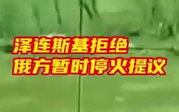 泽连斯基拒绝俄方暂时停火提议