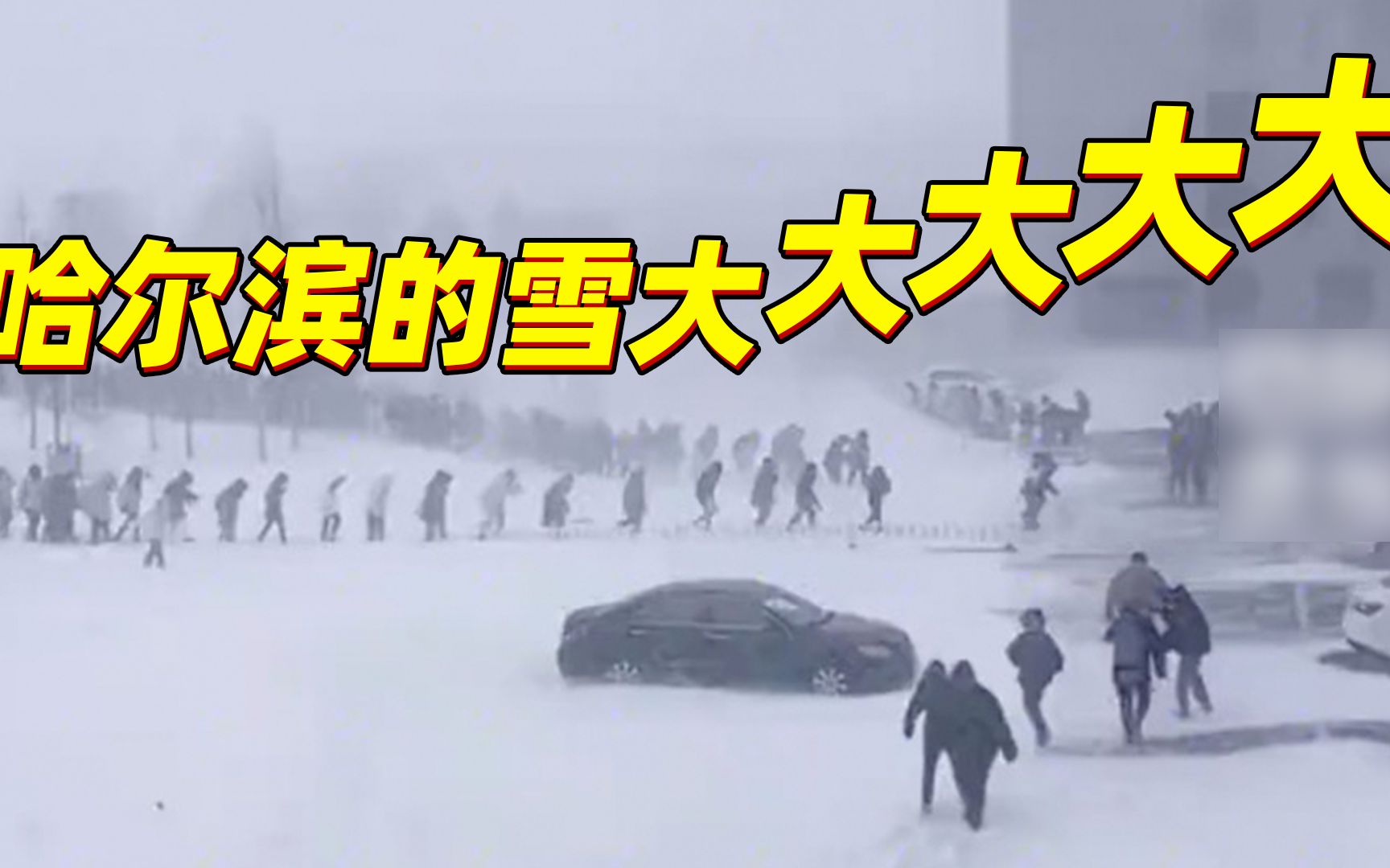我以为：南极科考 ➡️ 实际上：东北大学生去上课