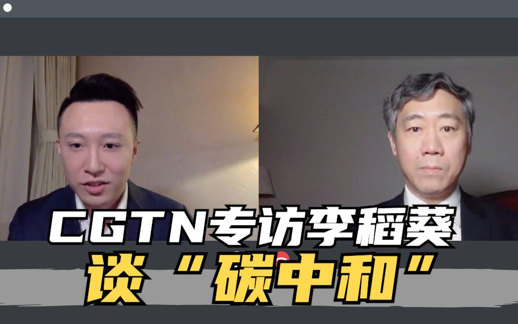 CGTN专访李稻葵：征收统一的碳排放税是助力“碳中和”的关键
