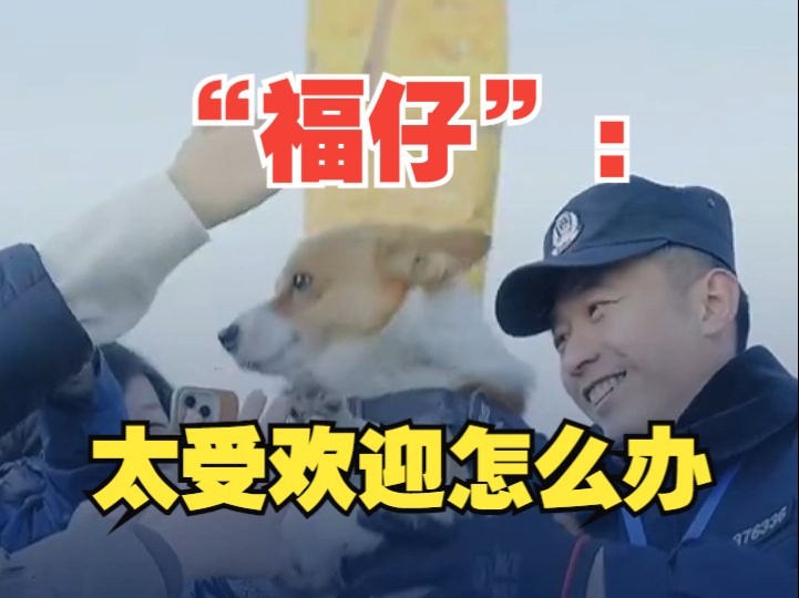 “警营开放日”上“福仔”快被摸秃了 负责人高情商介绍日常工作