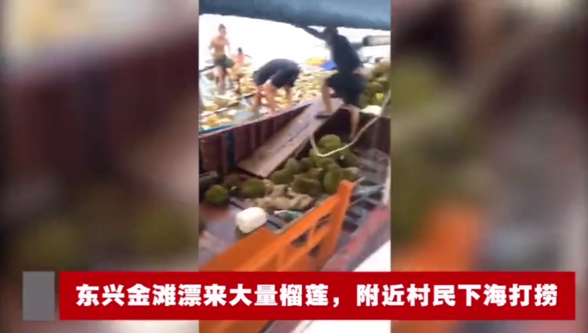 海上飘来大量榴莲，上百人哄抢食用！结果出事了