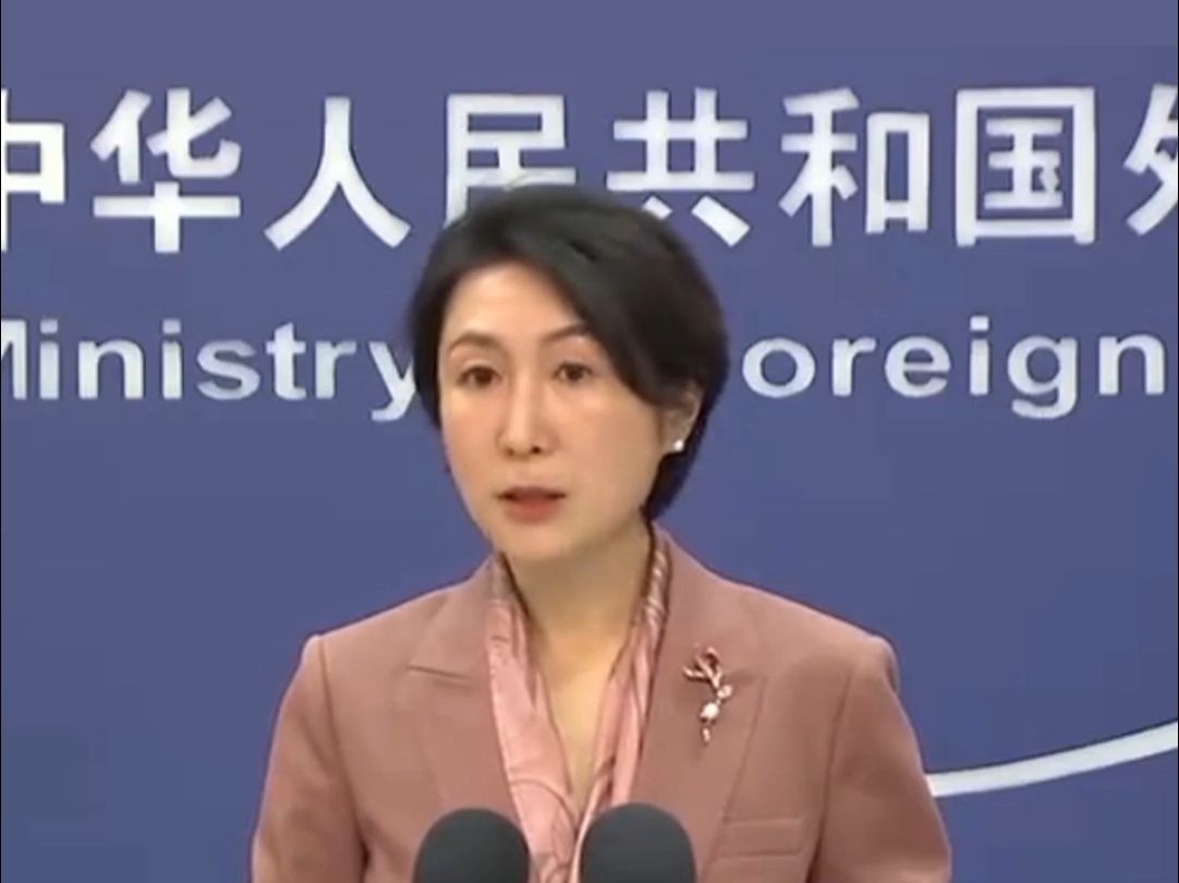 毛宁任外交部新闻司司长，2分钟回顾任职发言人岗位精彩语录