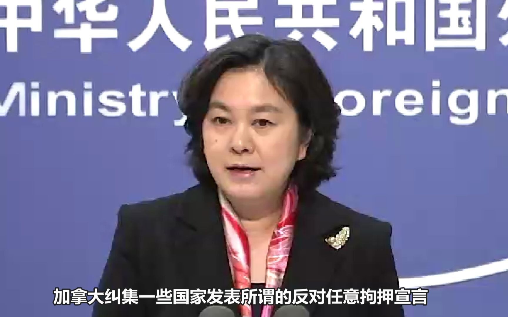中方回应加拿大发起所谓“反对任意拘押宣言”：更像承认错误的“自白书”