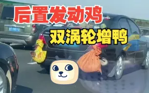 小轿车后备箱外挂着鸡鸭返程