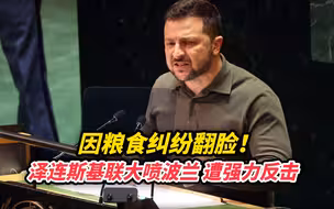 因粮食纠纷翻脸！泽连斯基联大喷波兰，遭强力反击