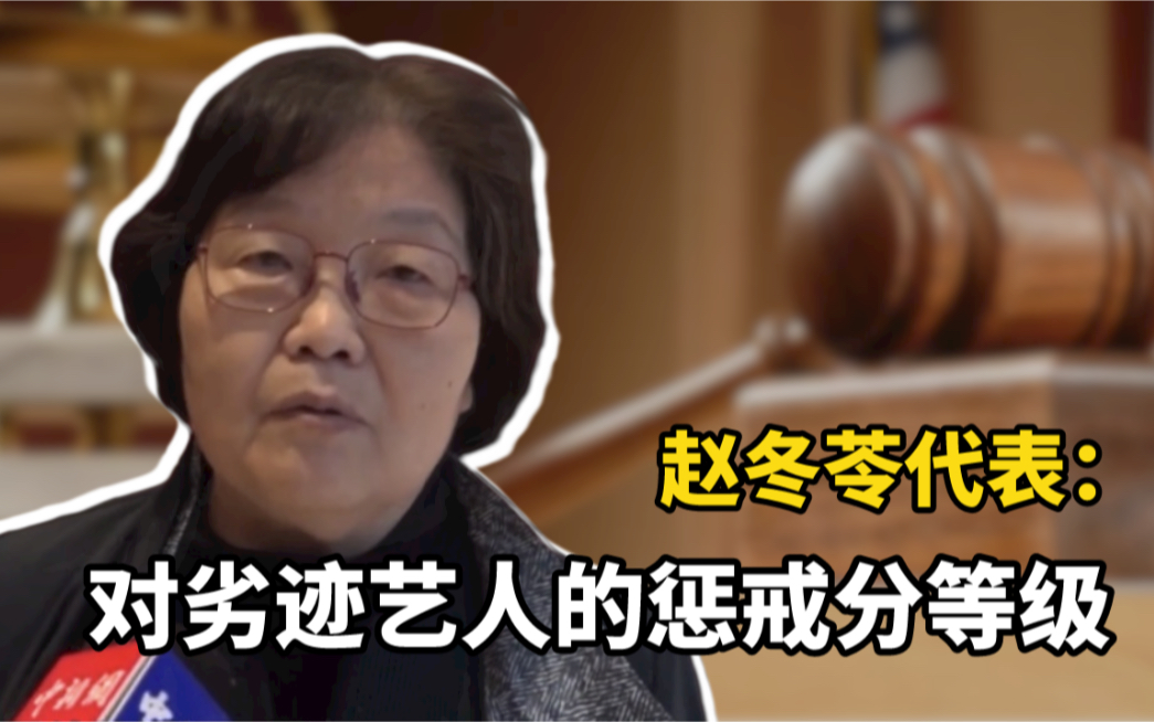 赵冬苓代表：建议对劣迹艺人的惩戒分等级