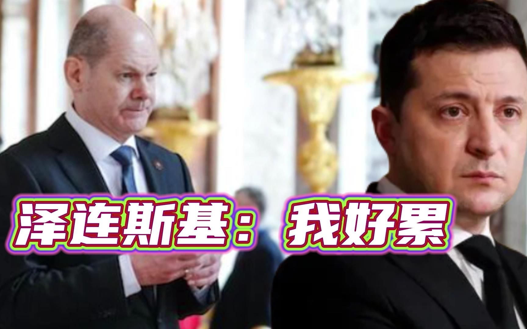普京称俄特别军事行动必然成功，朔尔茨公开言败，被骂先天脑残