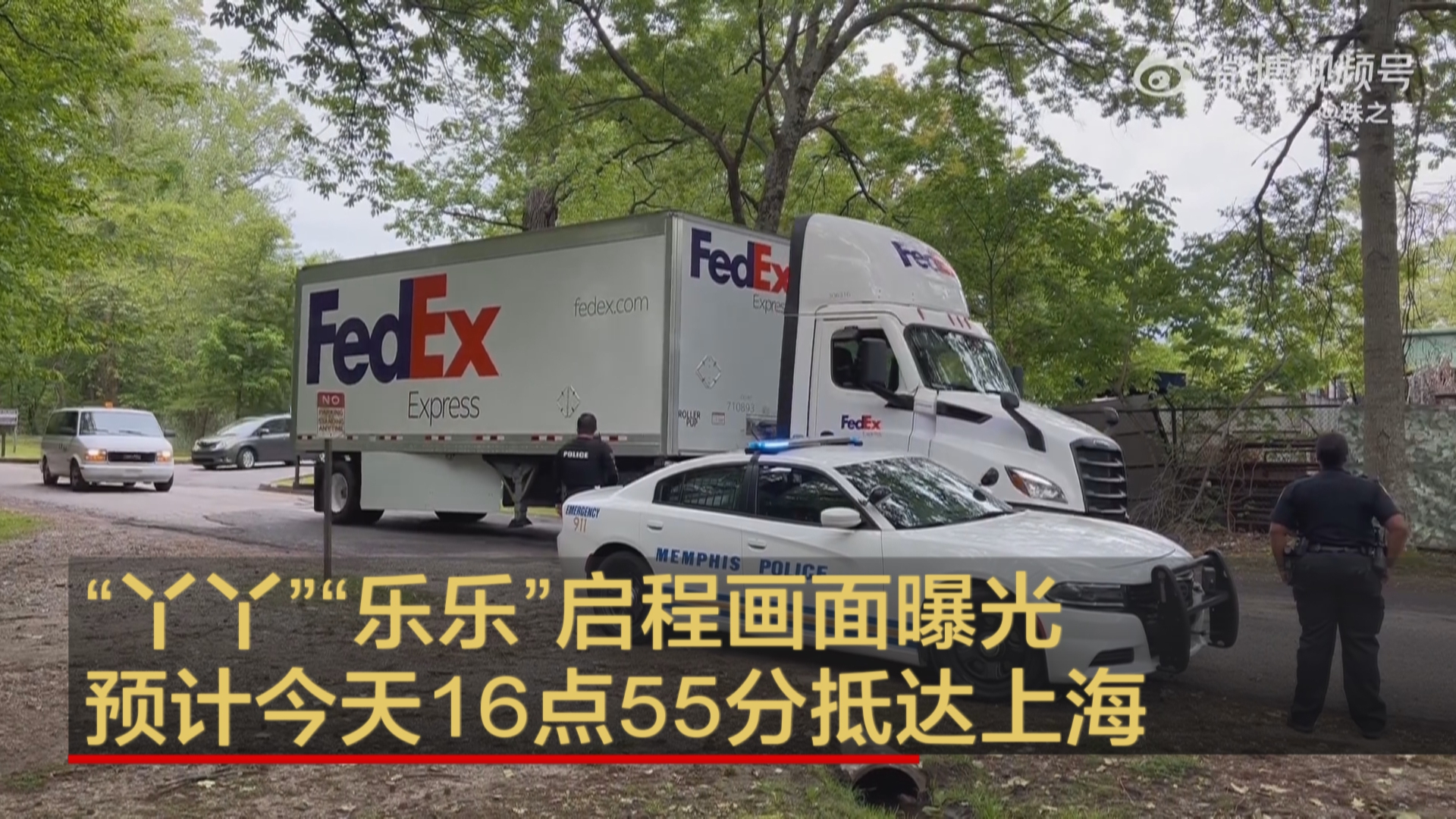 “丫丫”“乐乐”启程画面曝光 预计今天16点55分抵达上海