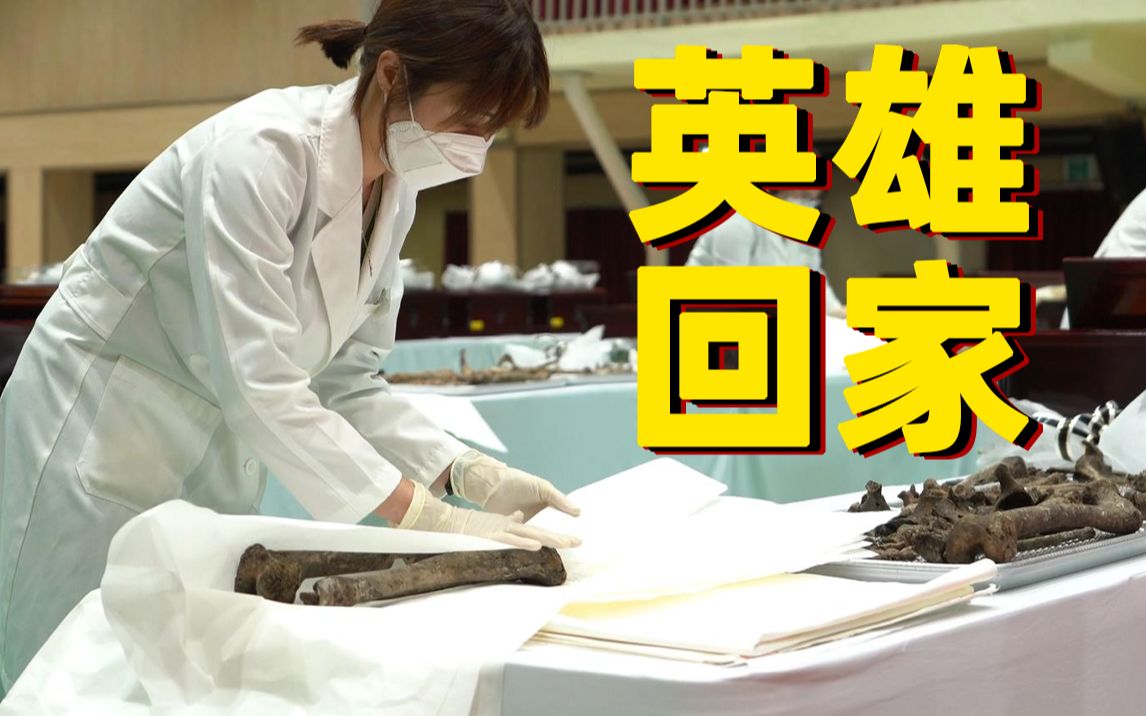 青山忠骨 接英雄回家！