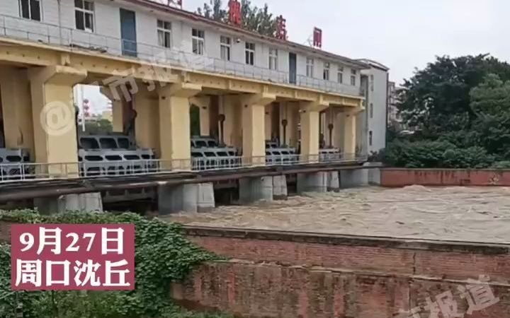 都市报道【周口洪峰过境沙河水位暴涨，一墙之隔就是居民楼！】