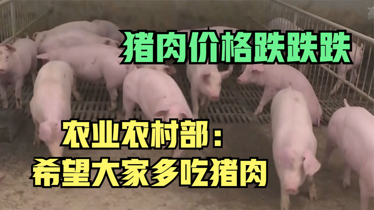 猪肉价格跌跌跌 农业农村部：希望大家多吃猪肉