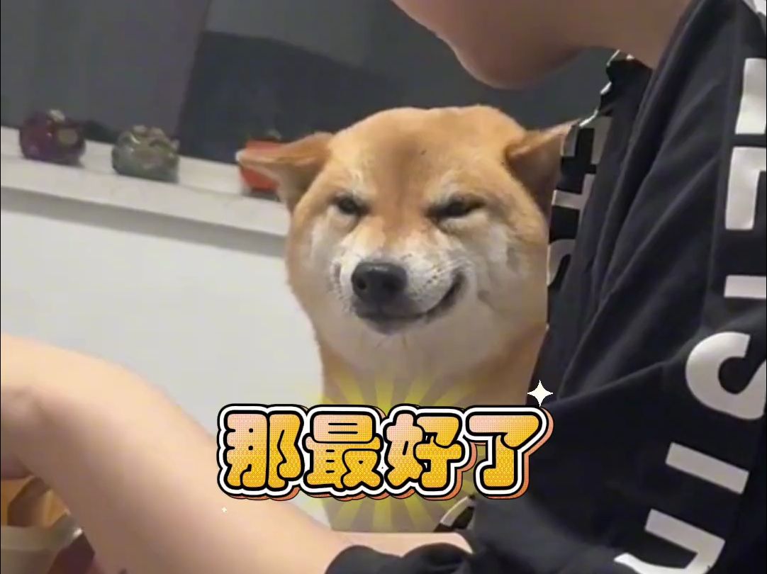 网友假装给狗狗吃的，狗狗把“谄媚”演绎得淋漓尽致。 “这才是真正的老戏骨”
