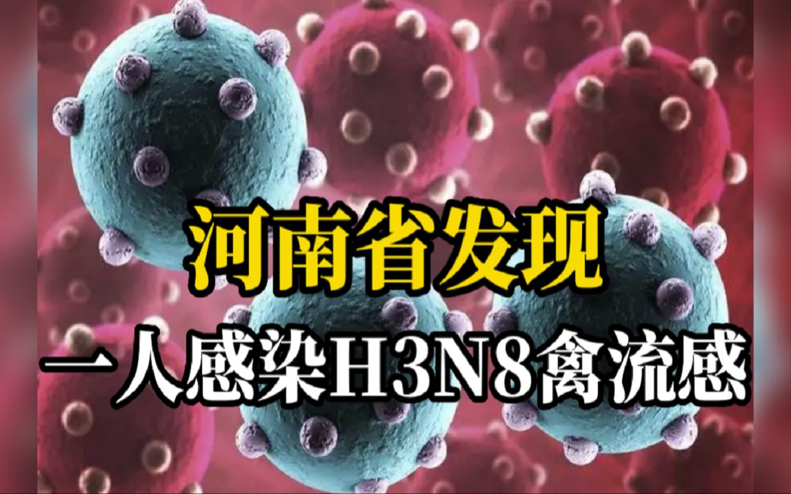 河南省发现一例人感染H3N8禽流感病例