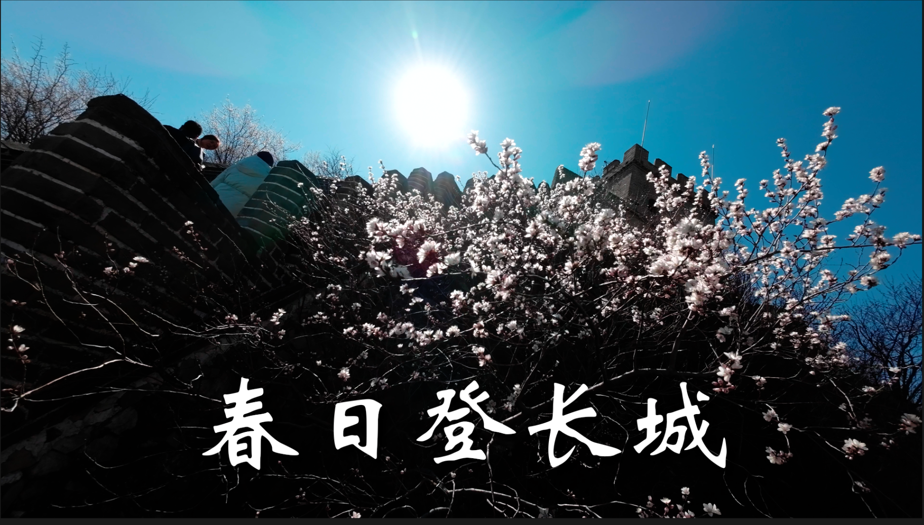 春日山桃花开满长城两侧，快去打卡！