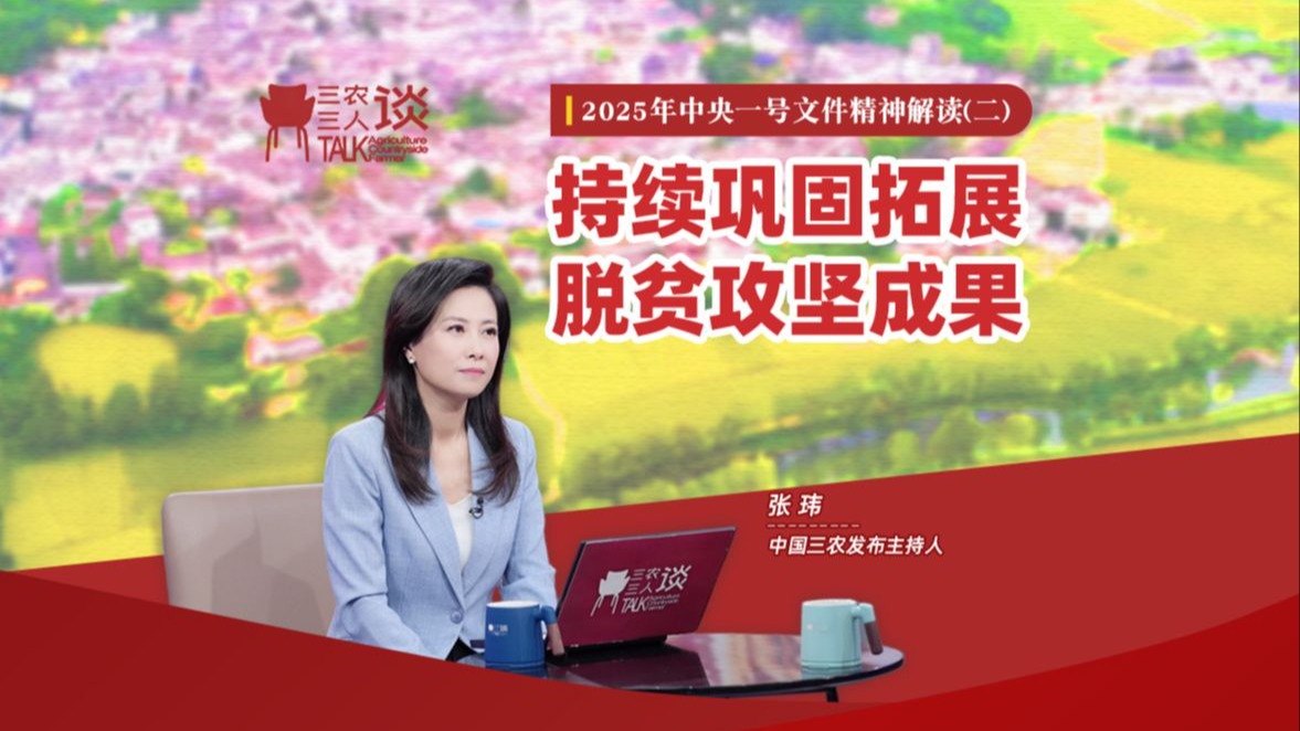 三农三人谈丨2025年中央一号文件精神解读（二）：持续巩固拓展脱贫攻坚成果