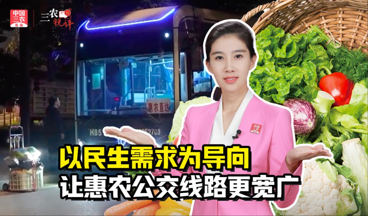 三农锐评丨以民生需求为导向，让惠农公交线路更宽广