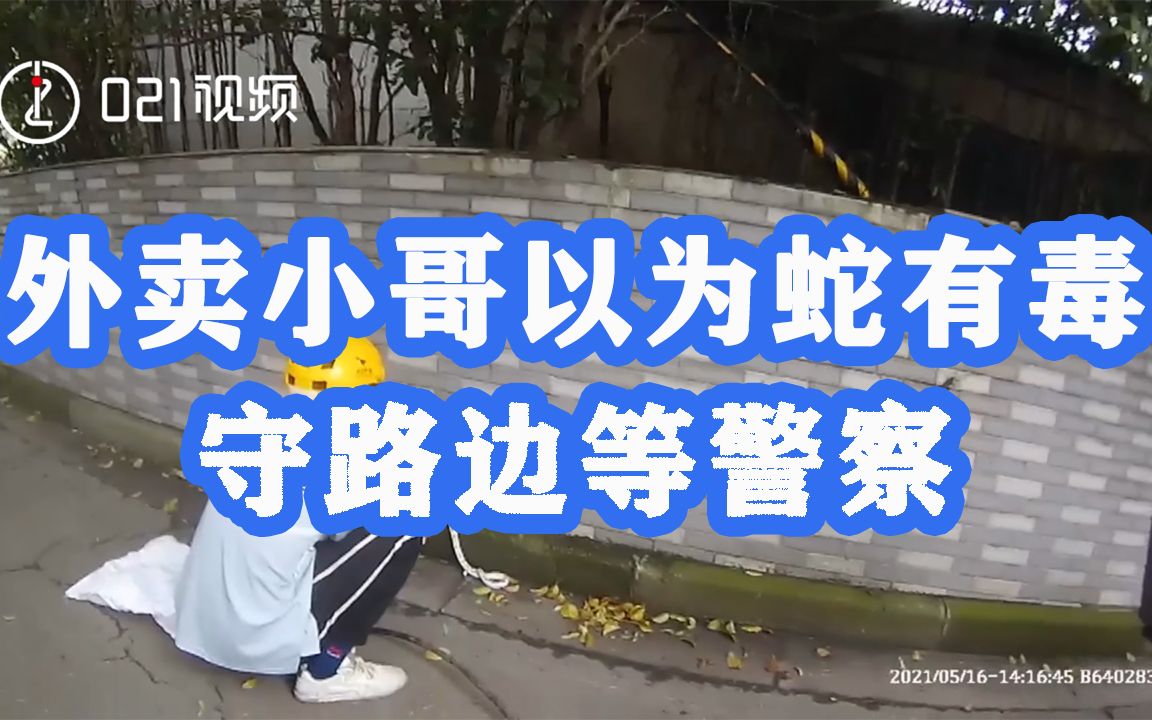 谢谢你的善良！外卖小哥以为蛇有毒守路边等警察，怕蛇逃跑全程拿棍抵住身体
