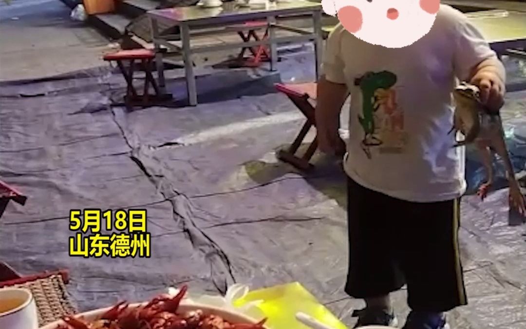 硬核搭讪：小男孩拿着一个大牛蛙和一桌小姐姐“搭讪”、