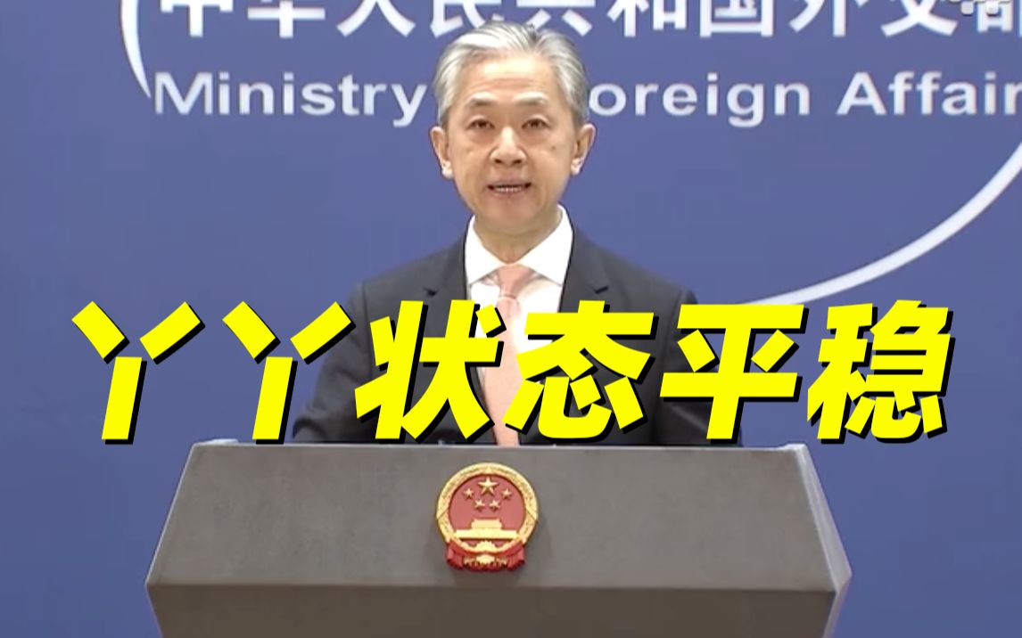 外交部：将以最快的速度将大熊猫“丫丫”平安运送回国