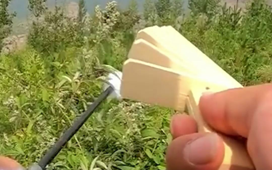 酷！男子野外展示古法钓蝈蝈，手一抖就抓住一只。蝈蝈：以为是甜甜的网恋，没想到是电信诈骗