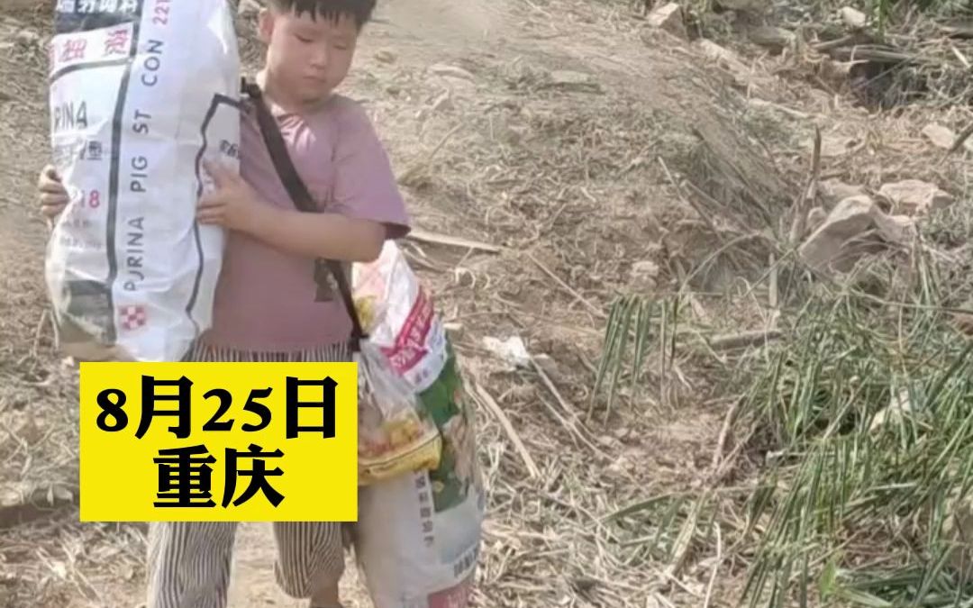 小小男子汉！家长带孩子在山火现场做志愿者，男孩清理垃圾打包带下山