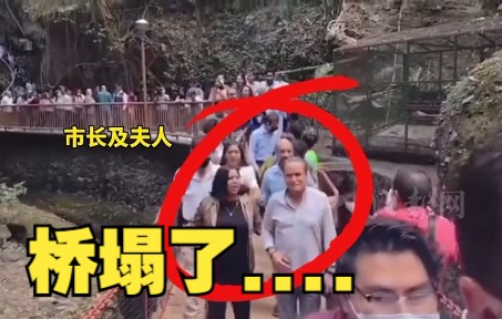 墨西哥一市长主持吊桥落成典礼 剪彩时桥塌了 与夫人掉进河里