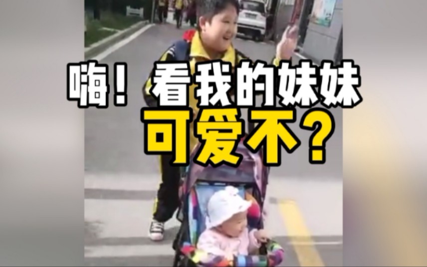 放学路上，哥哥到处向朋友炫耀自己的可爱妹妹！