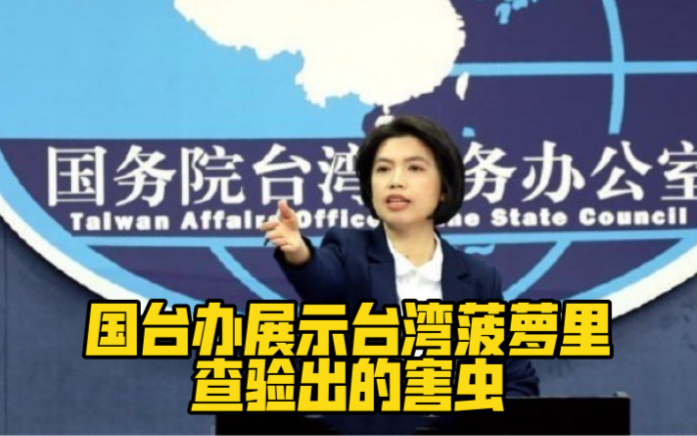 国台办展示台湾菠萝里查验出的害虫：桩桩件件有据可查！