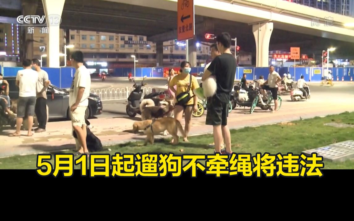 周知！《动物防疫法》将正式实施，遛狗不牵绳5月1日起违法