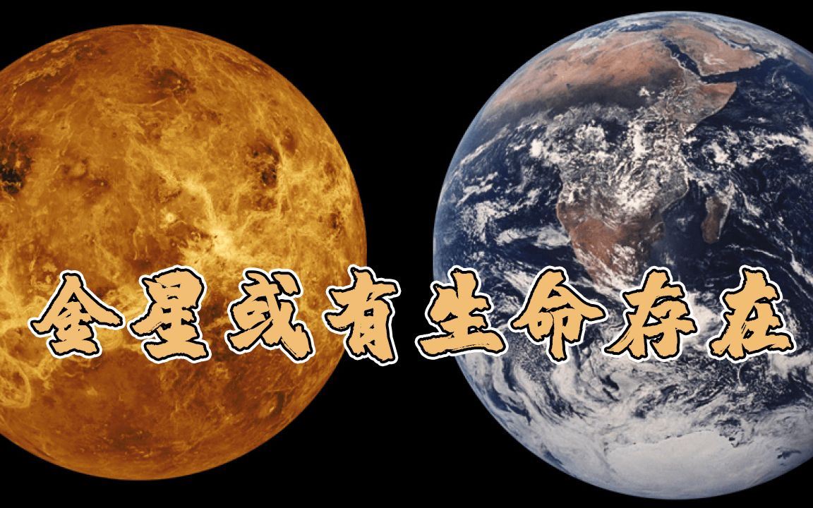 重大发现！科学家：金星上可能存在一个“繁盛的生物群”