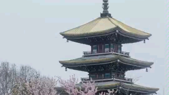 方舱医院患者点歌给医护人员 美好与你们环环相扣