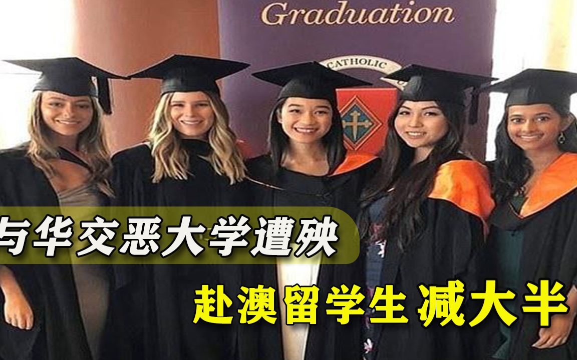 损失将达100亿！中国留学生赴澳人数大减，多所大学面临经济危机