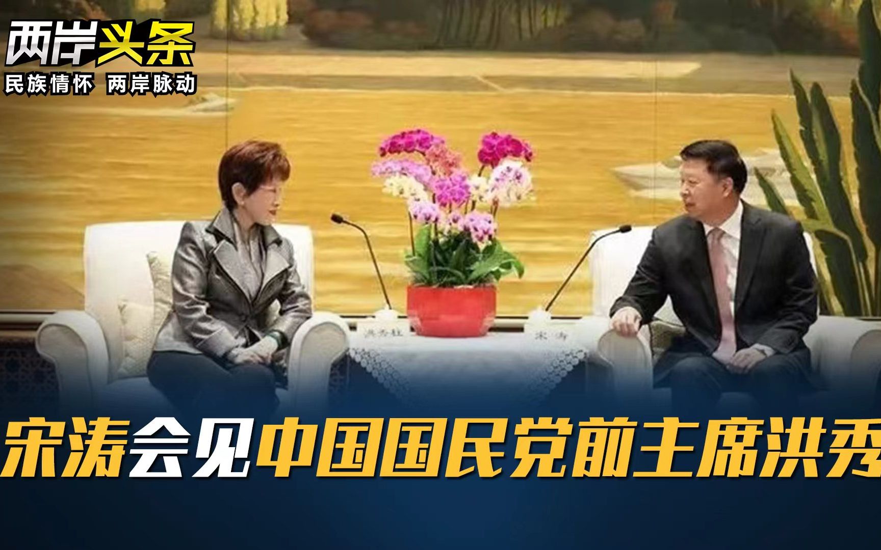 宋涛会见中国国民党前主席洪秀柱