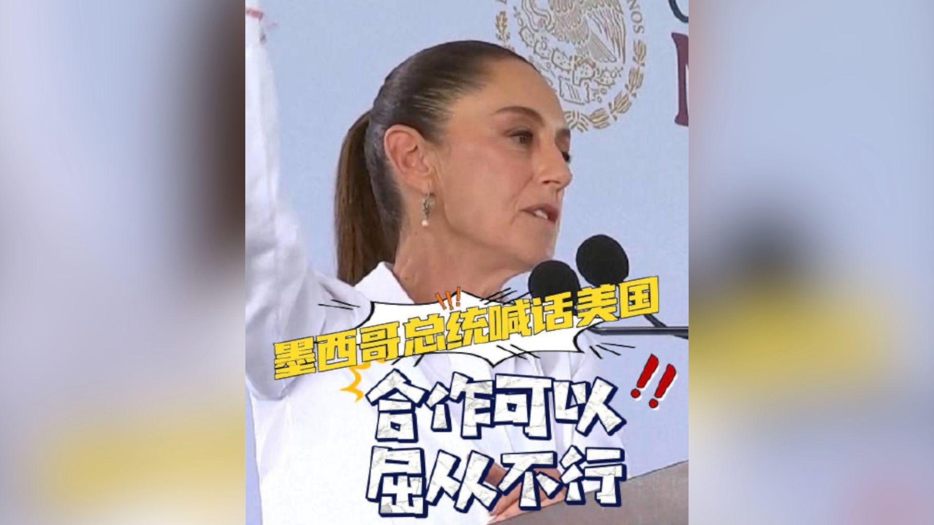 墨西哥总统称美搬起石头砸自己的脚