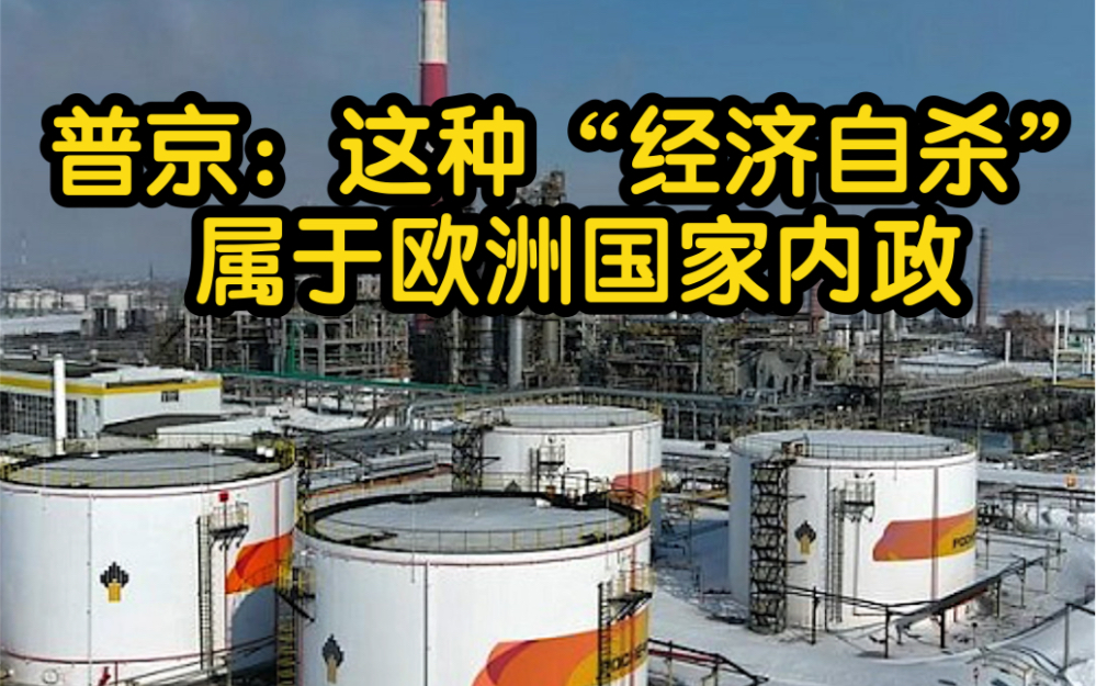 普京：欧盟拒绝俄罗斯石油犹如“经济自杀”