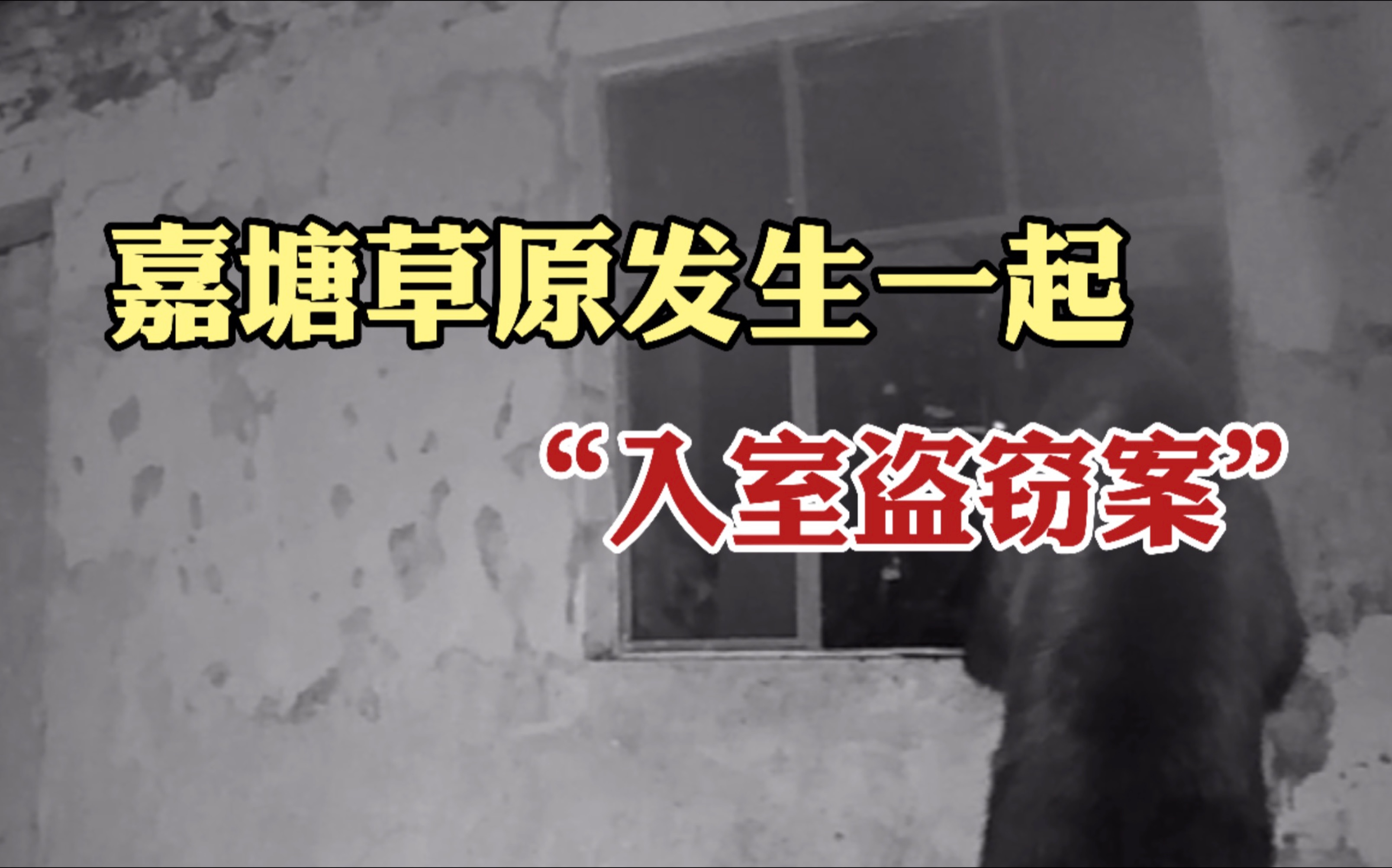 熊出没！！嘉塘草原发生一起“入室盗窃案”