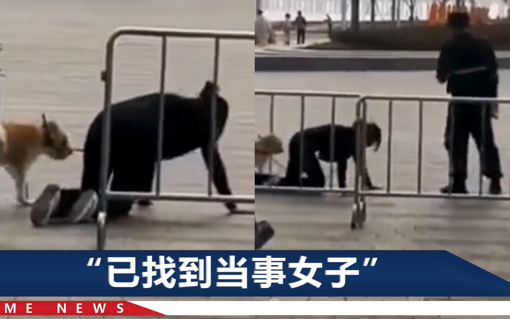 深圳欢乐港湾内，一女子和狗同拴一条绳趴地爬行，当地警方回应